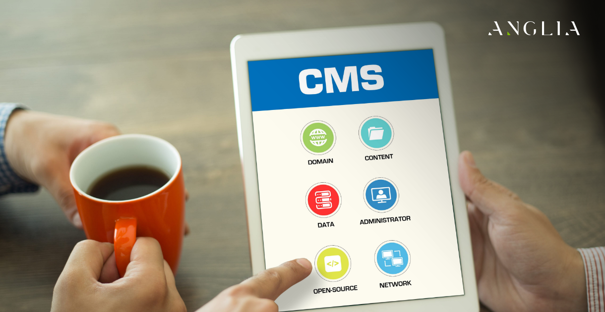 為什麼無頭CMS是Web開發的未來 為什麼無頭CMS是Web開發的未來